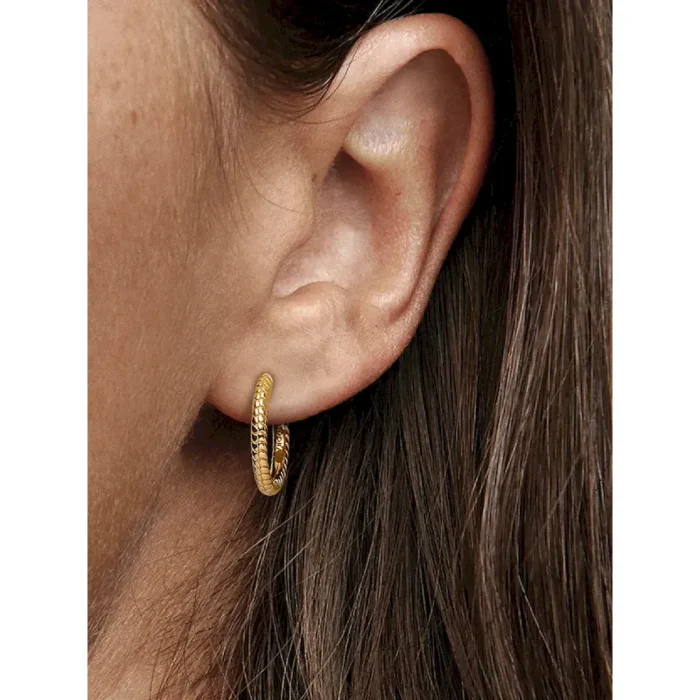 Pandora Moments Small Charm Hoop Earrings - Image 2