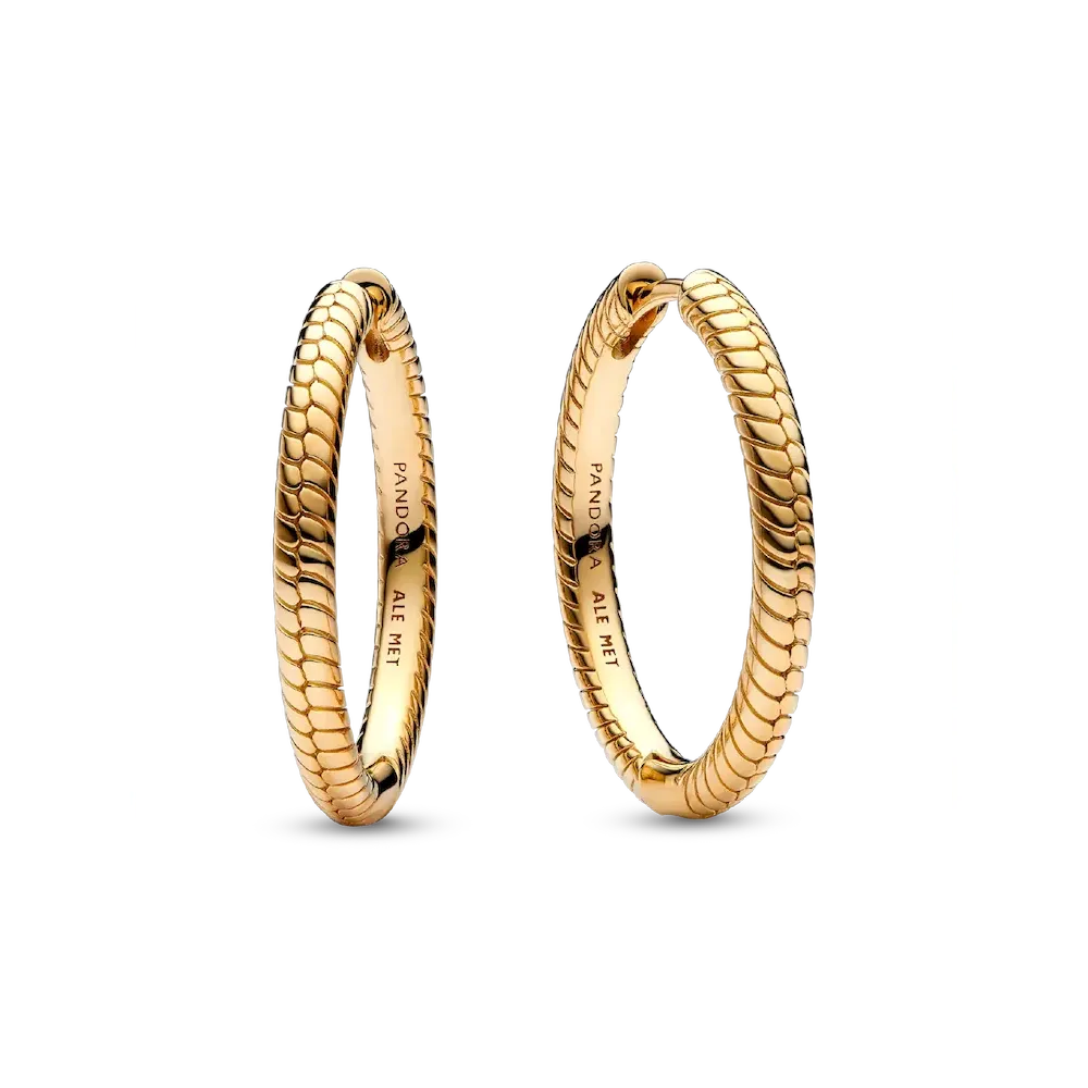 Pandora Moments Charm Hoop Earrings