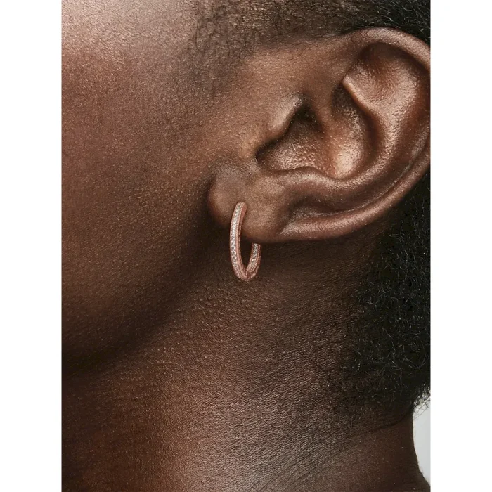 Sparkle and Hearts Hoop Earrings - Image 2