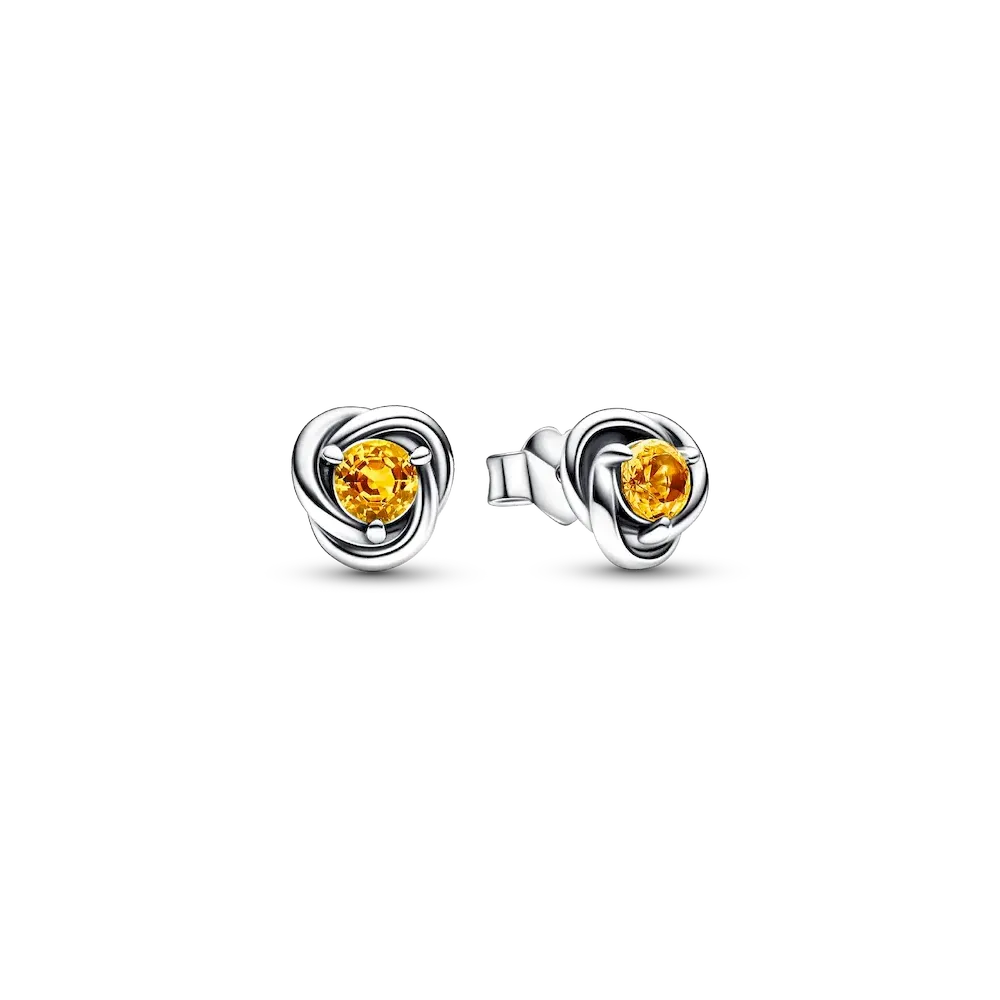 292334C04_RGB.webp November Honey Eternity Circle Stud Earrings - Image 1