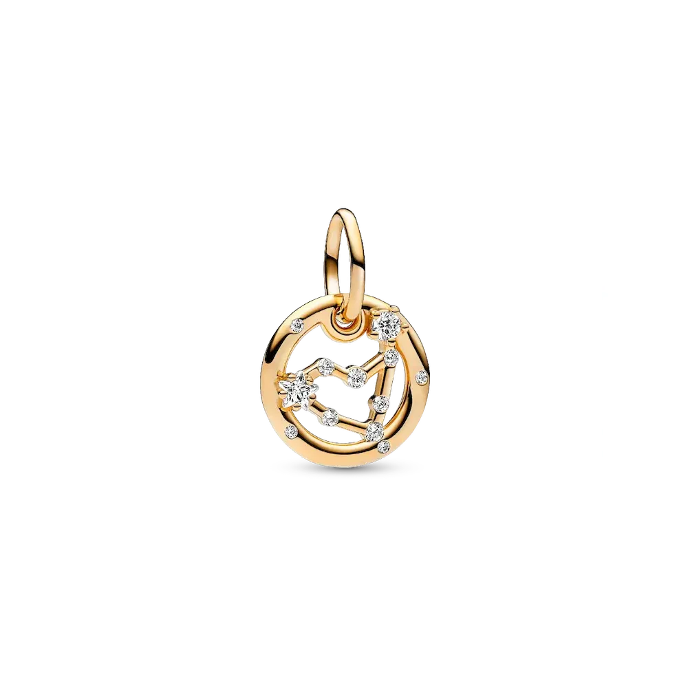 Capricorn Zodiac Dangle Charm