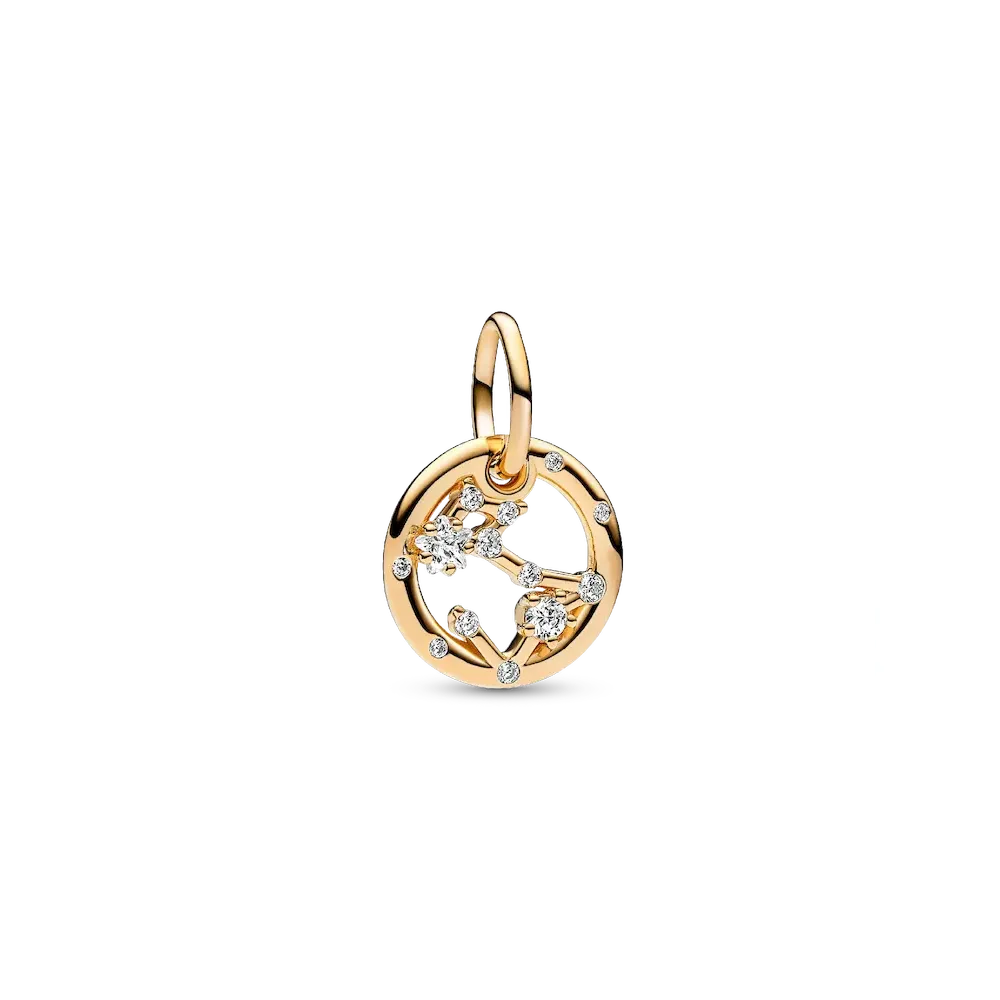 Pisces Zodiac Dangle Charm