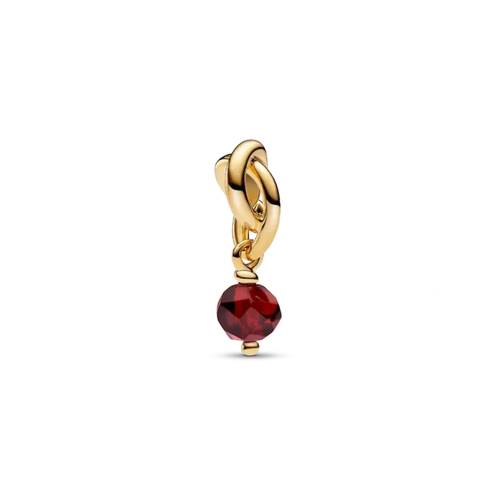 January Eternity Circle Dangle Charm Necklace Set - Image 2