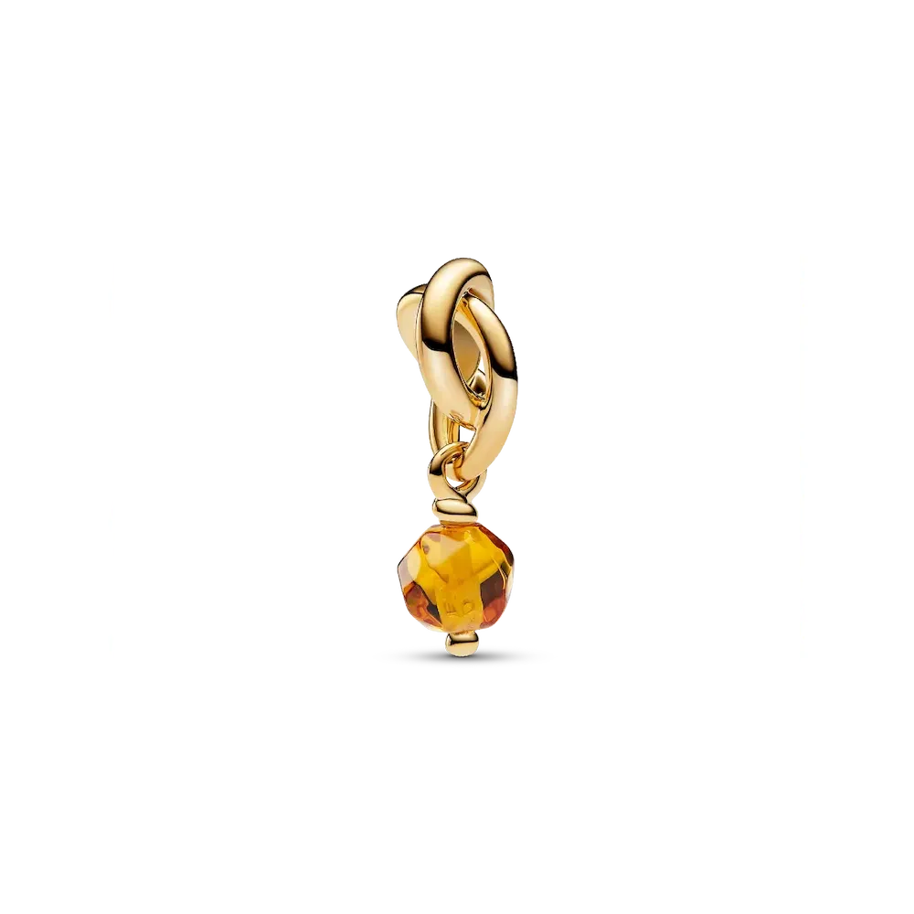 763462C11_RGB.webp Faceted Honey Eternity Circle Dangle Charm - Image 1