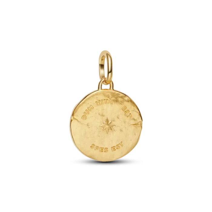 Swallow Medallion Charm - Image 6