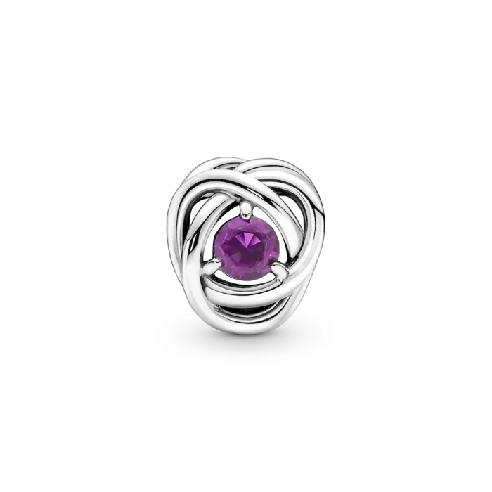 February Purple Eternity Circle Charm - Image 5