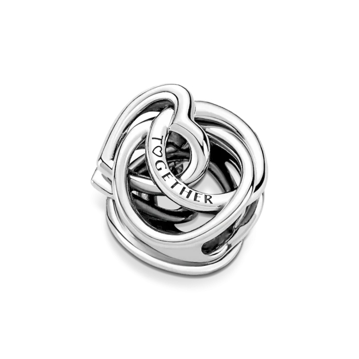 Family Always Encircled Heart Charm - Image 4