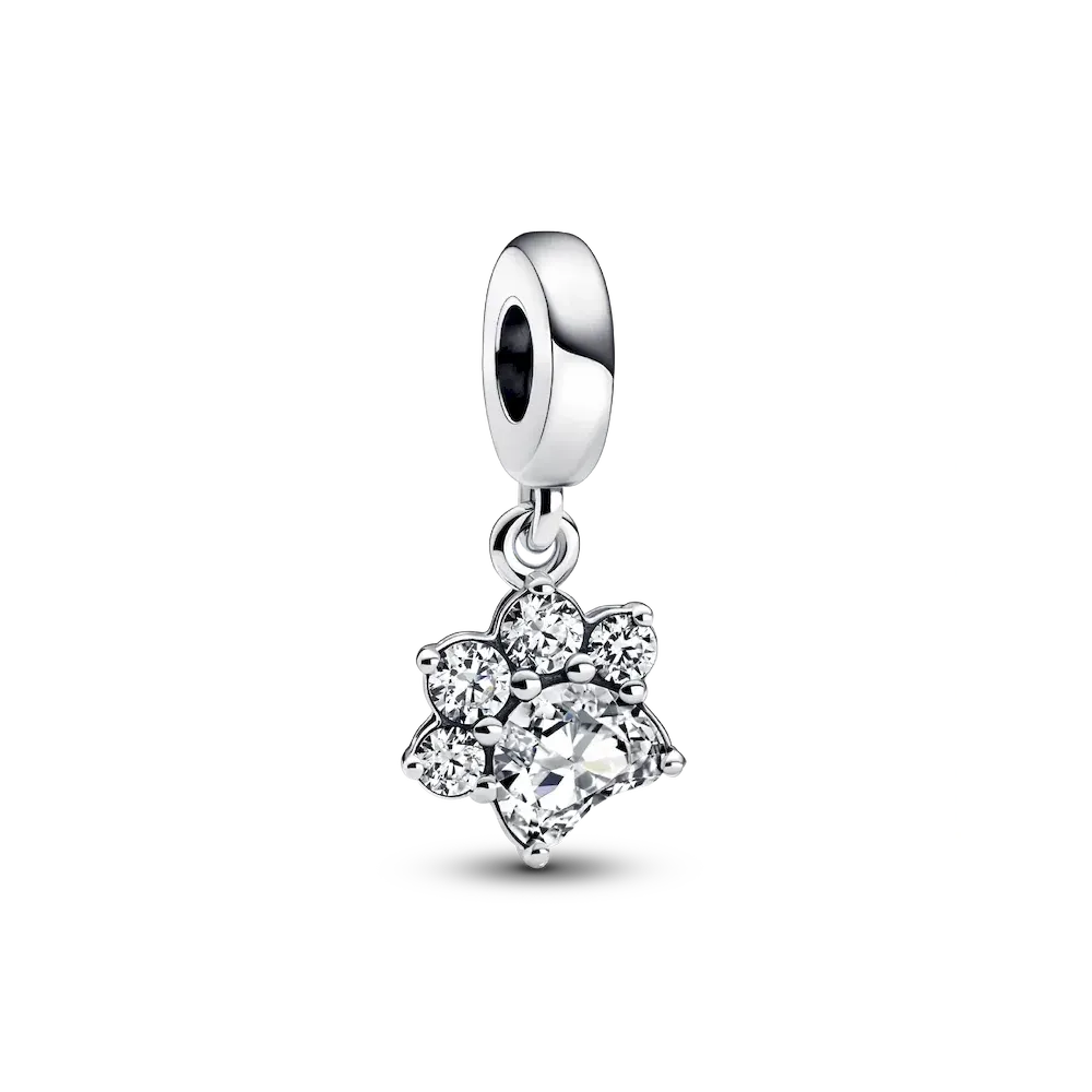 Sparkling Pet Paw Print Dangle Charm