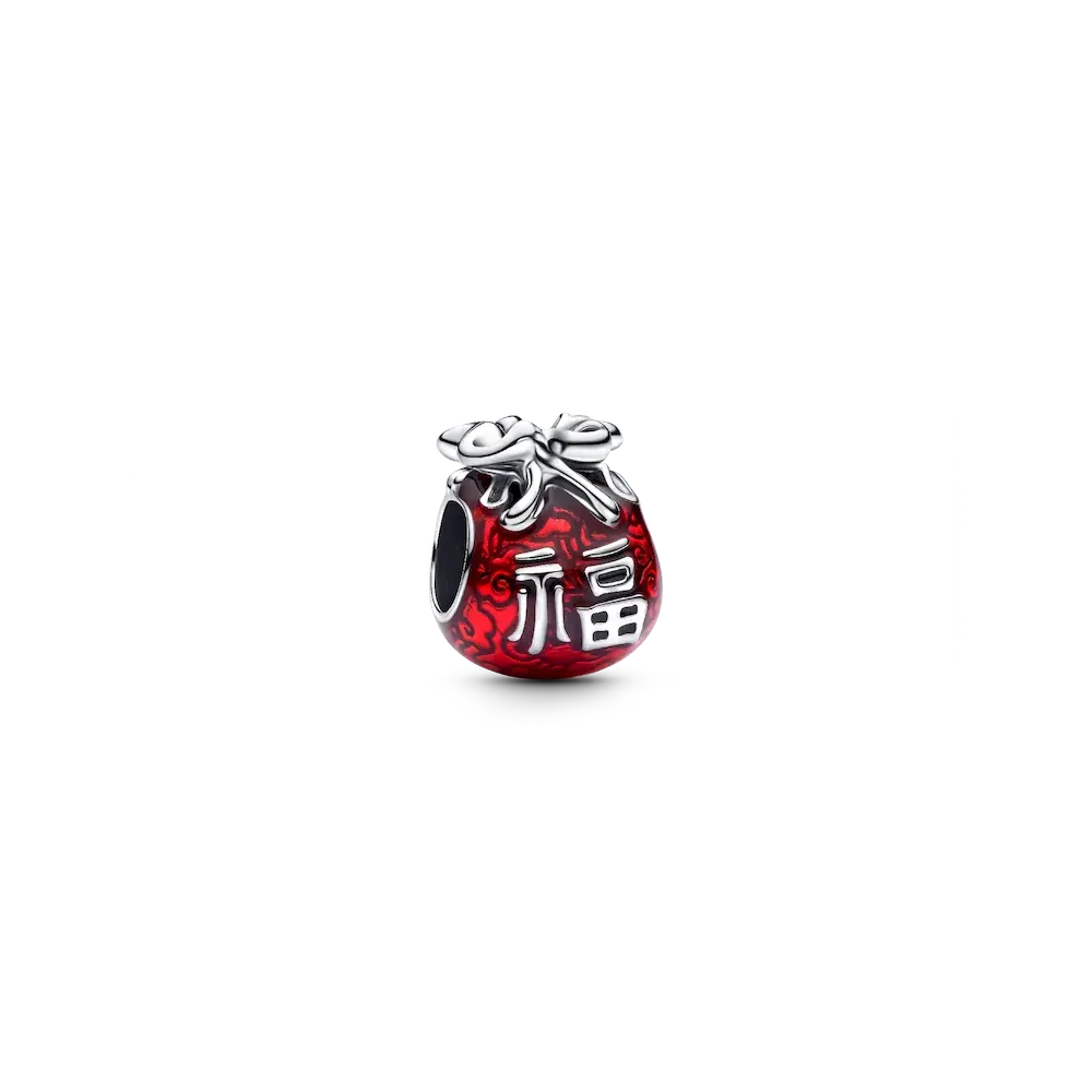 Lucky Bag Charm