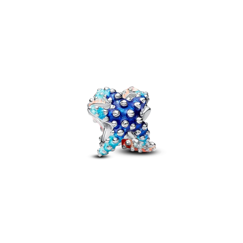 793817C01_RGB.webp Colorful Starfish Mini Charm - Image 1