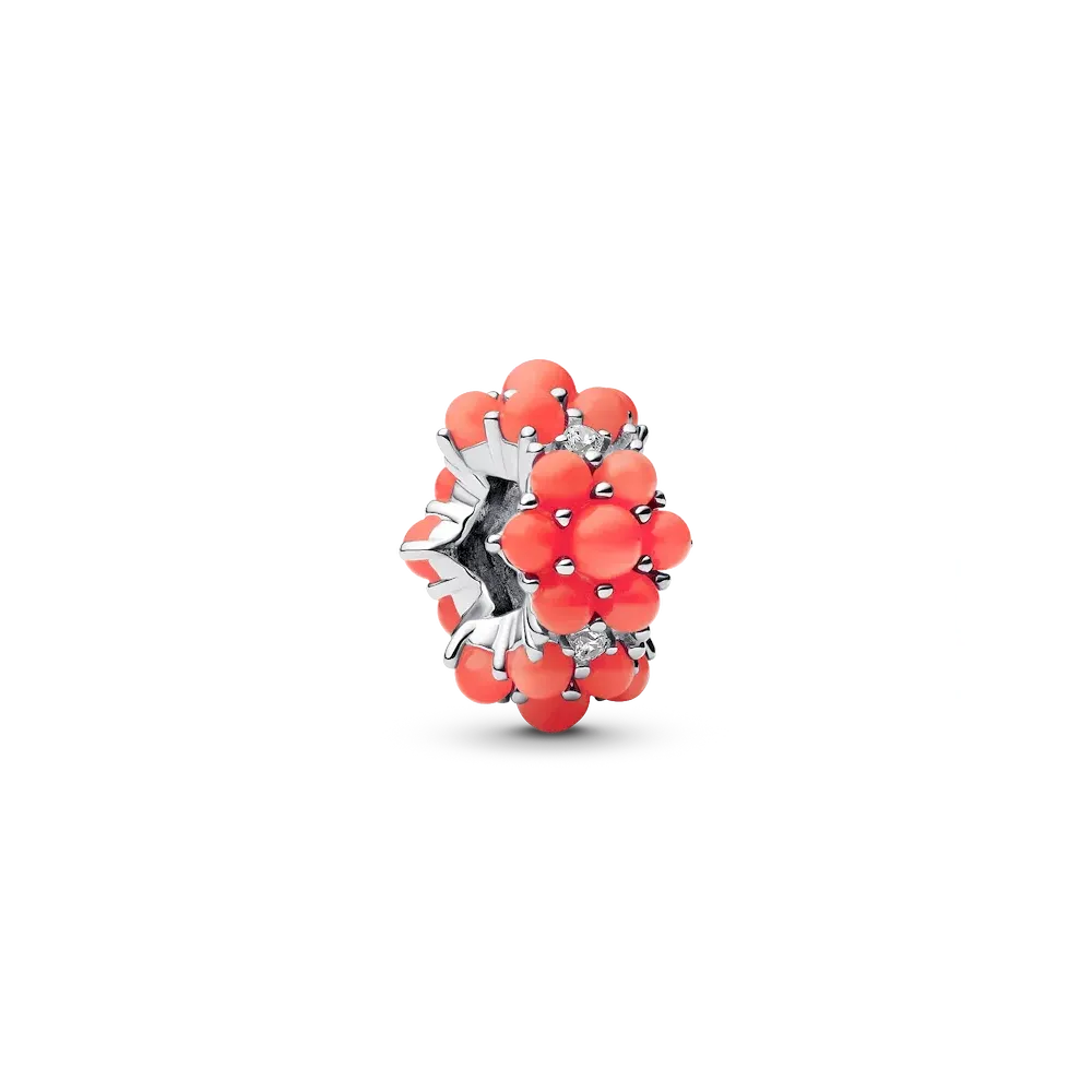 793897C01_RGB.webp Coral-colored Ocean Charm - Image 1