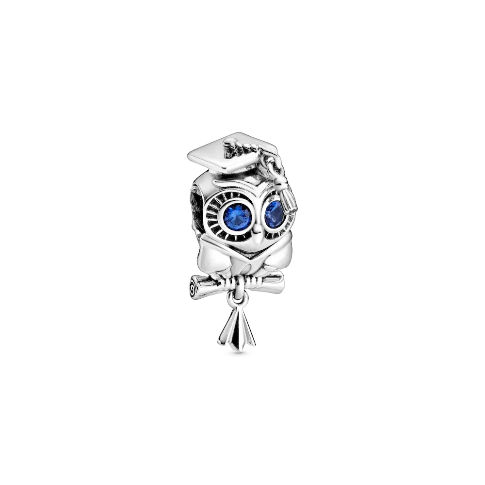 Wise Owl Graduation Charm
