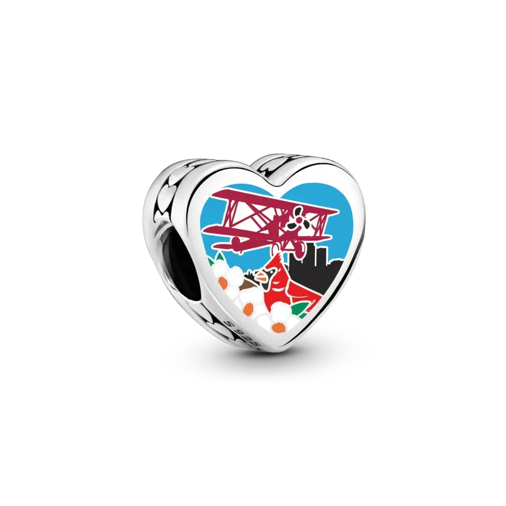 NC Land of Sky Charm