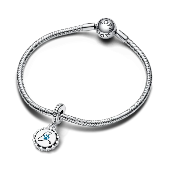 Veterinarian Dangle Charm - Image 3