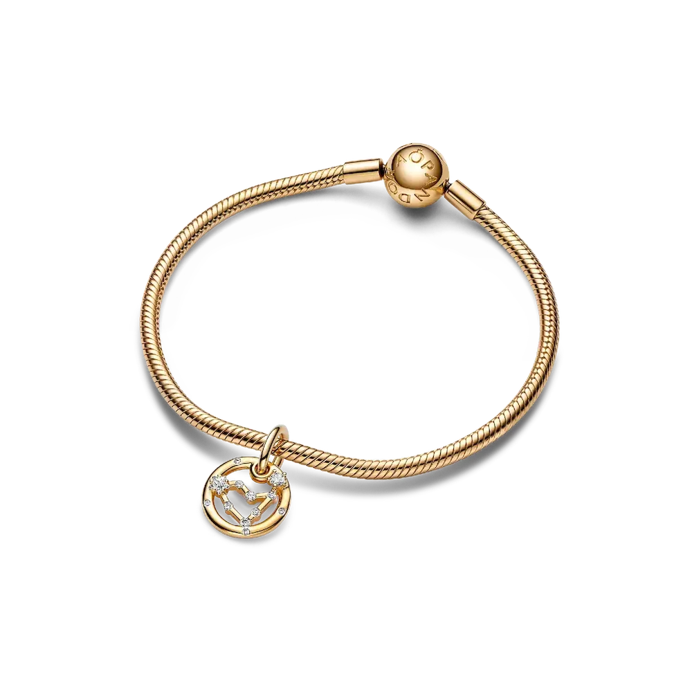 NAMPS0522.webp Capricorn Zodiac Dangle Charm Bracelet Set - Image 1