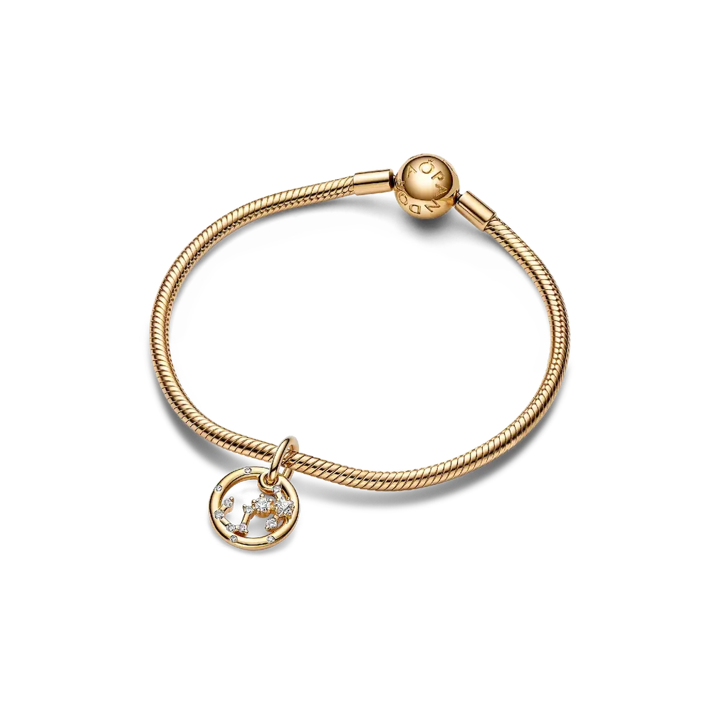 Scorpio Zodiac Dangle Charm Bracelet Set