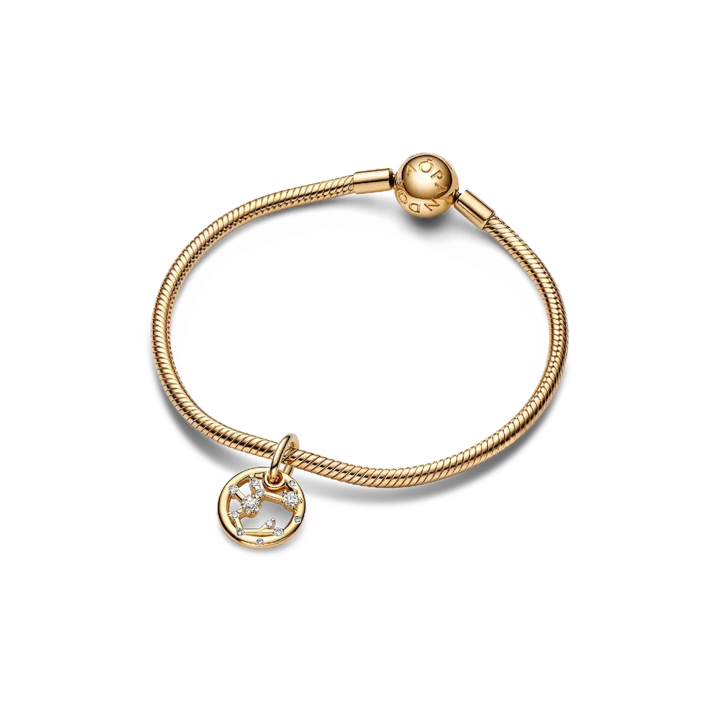 Sagittarius Zodiac Dangle Charm Bracelet Set