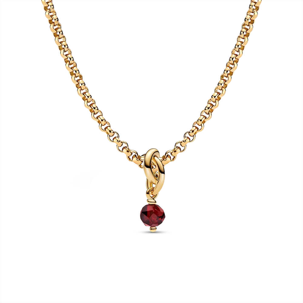 NAMPS0645_RBG.webp January Eternity Circle Dangle Charm Necklace Set - Image 1