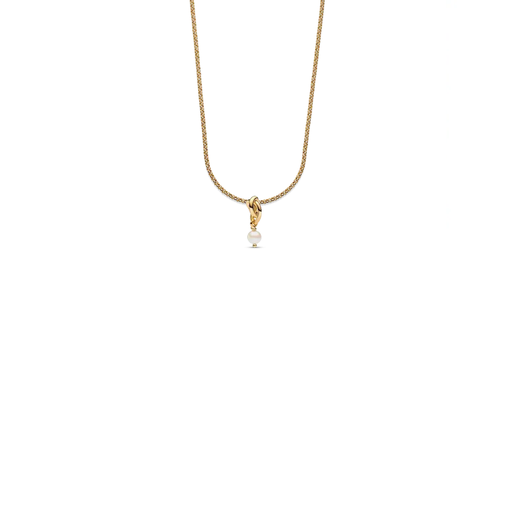 NAMPS0650_RGB.webp June Eternity Circle Dangle Charm Necklace Set - Image 1